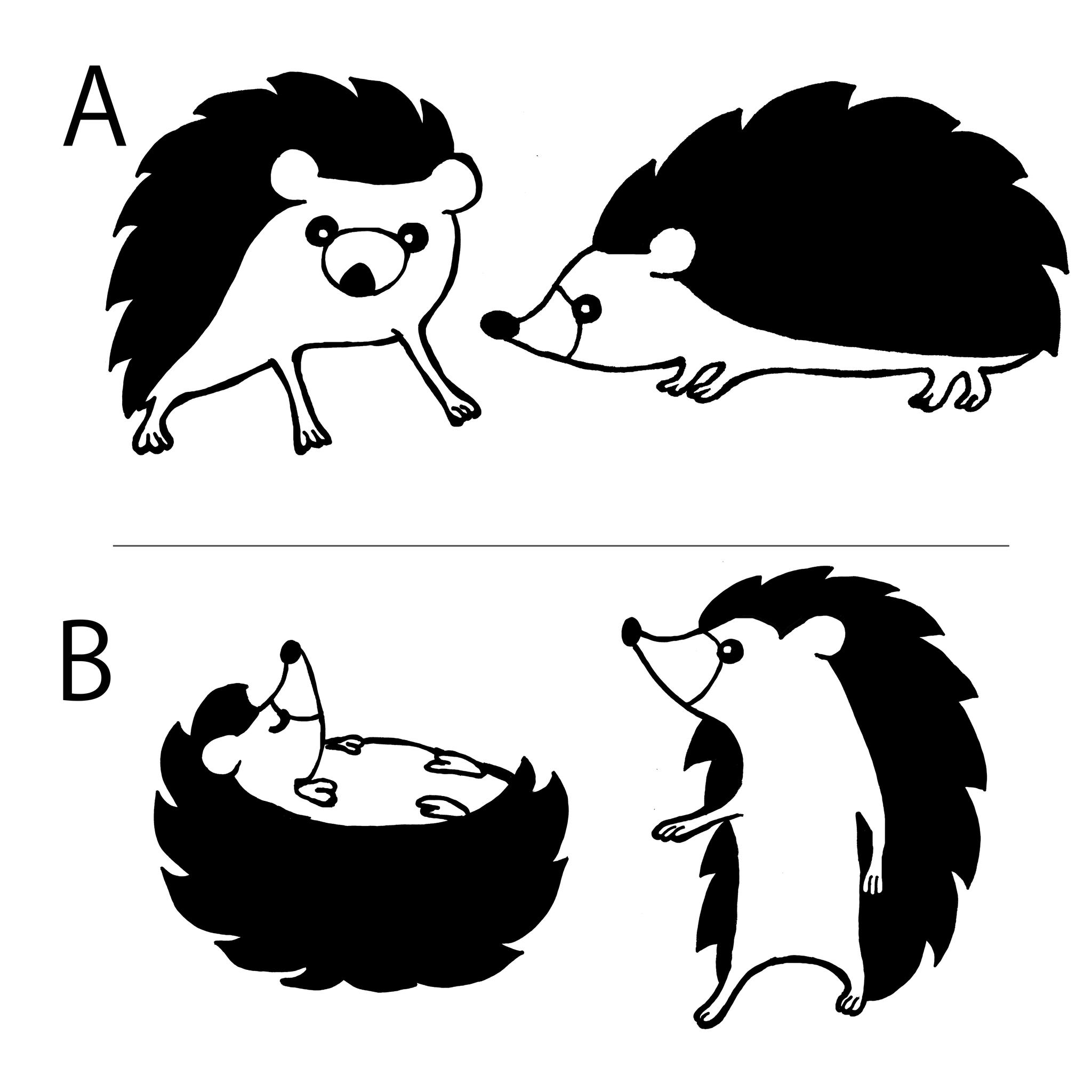 ハリネズミカップ・ネイビー（単品ＡorＢ | 12枚目